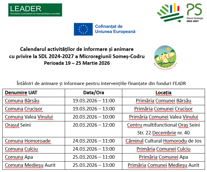 Calendar activitati de animare Decembrie 2025