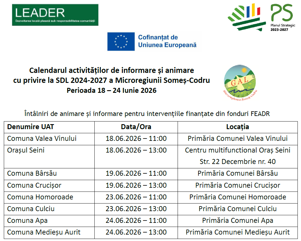 Calendar activitati de animare Decembrie 2025